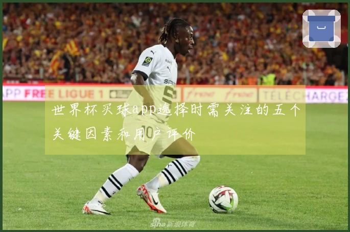 世界杯买球app选择时需关注的五个关键因素和用户评价