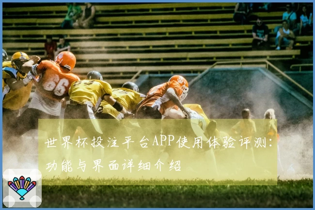 世界杯投注平台APP使用体验评测：功能与界面详细介绍