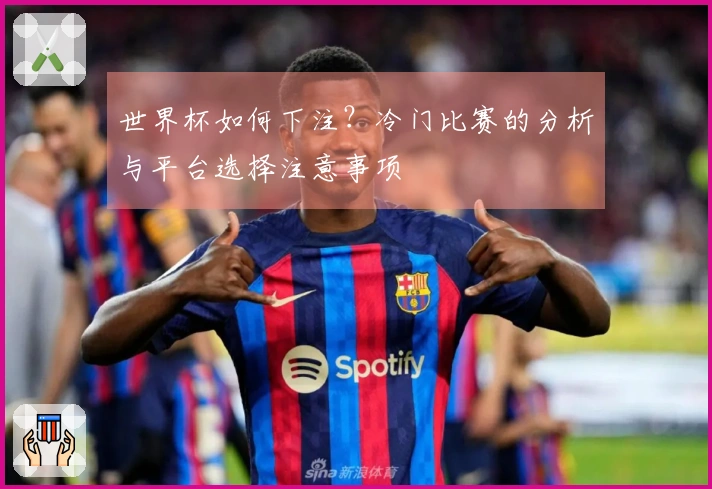 世界杯如何下注？冷门比赛的分析与平台选择注意事项