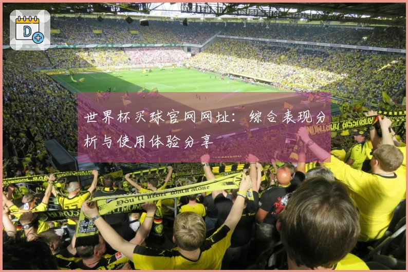 世界杯买球官网网址：综合表现分析与使用体验分享