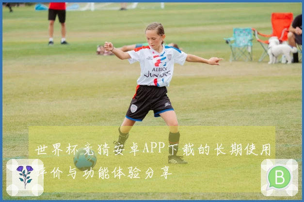世界杯竞猜安卓APP下载的长期使用评价与功能体验分享