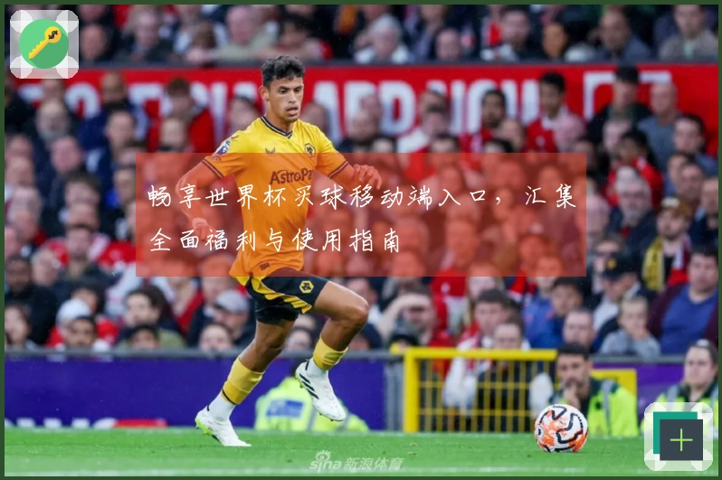 畅享世界杯买球移动端入口，汇集全面福利与使用指南