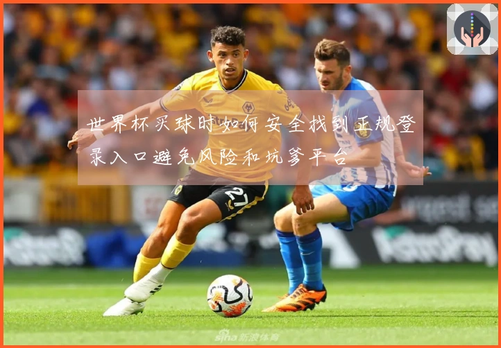世界杯买球时如何安全找到正规登录入口避免风险和坑爹平台